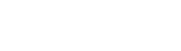 Newsio Logo